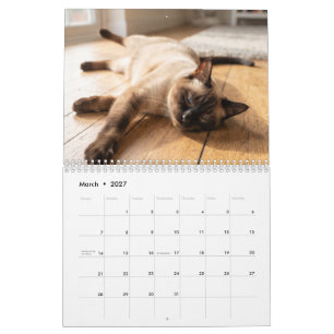 Cosy Sleeping Cats Cute Cat Photo Calendar