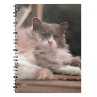 Cosy Sleeping Fluffy Cat Notebook