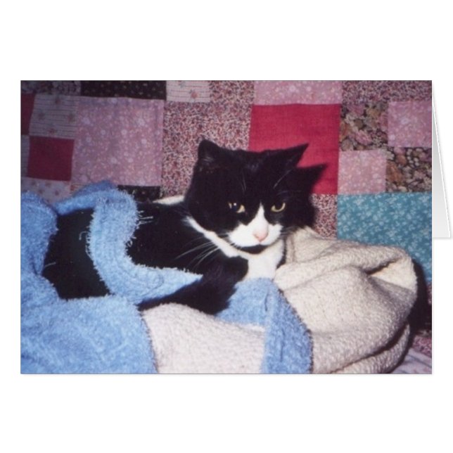 "Cosy Tiki" (Front Horizontal)