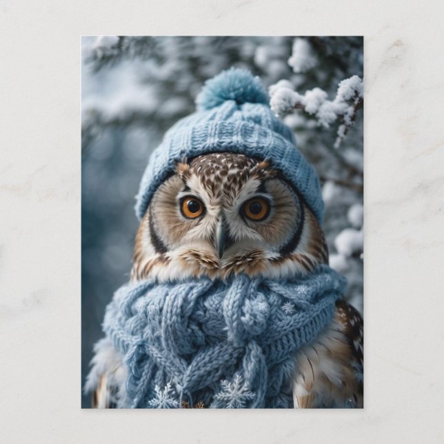 Cosy Whimsical Winter Wonderland Owl Postcard (Front)