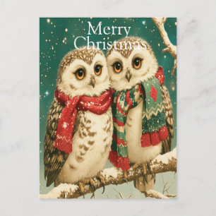 Cosy Winter Owls with Scarves Holiday Postcard