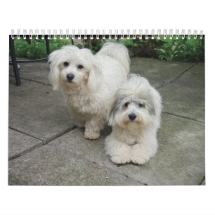 Coton Calendar