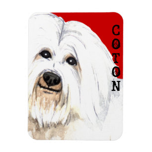 Coton Colour Block Magnet