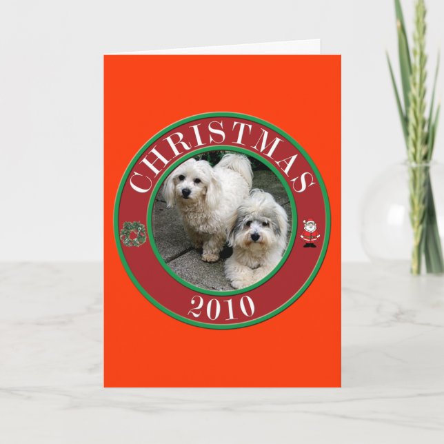 Coton De Tulear at Christmas Holiday Card (Front)