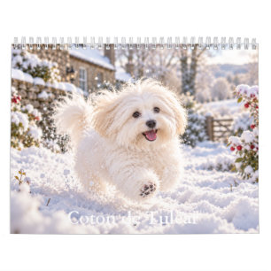 Coton de Tulear Calendar