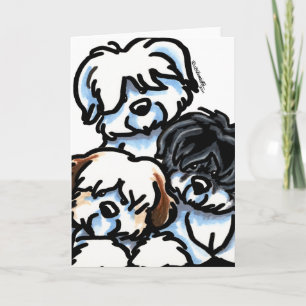 Coton de Tulear Cartoon Card