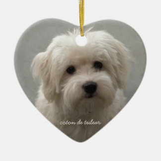 Coton de Tulear Ceramic Tree Decoration