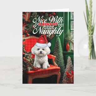 Coton de Tulear Christmas Dog Naughty Nice Holiday Card