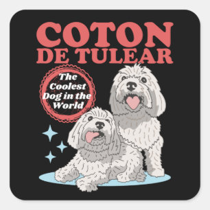 Coton de Tulear Coolest Dog   Coton de Tulears Square Sticker