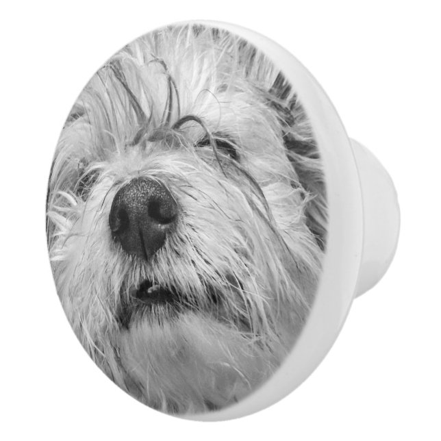 Coton de Tulear dog Ceramic Knob (Right)