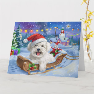 Coton De Tulear Dog in Sleigh Snow Christmas Card