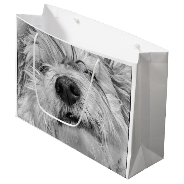 Coton de Tulear dog Large Gift Bag (Front Angled)
