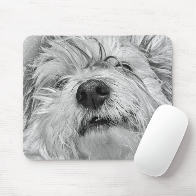 Coton de Tulear dog Mouse Mat (With Mouse)
