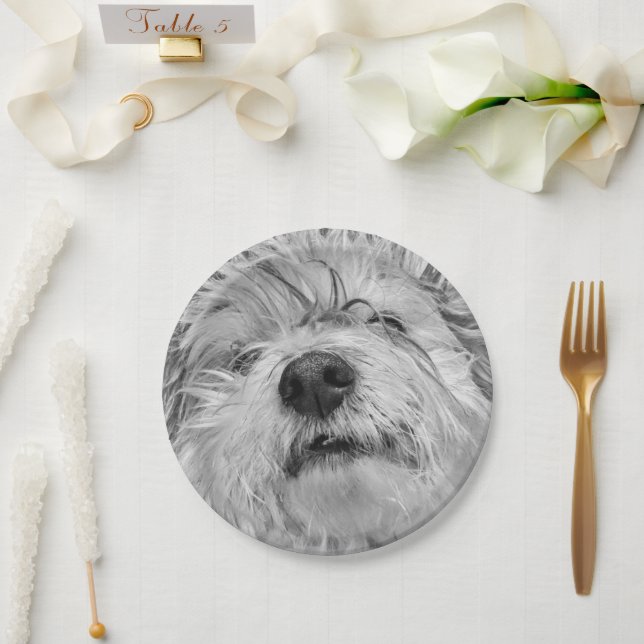 Coton de Tulear dog Paper Plate (Wedding)