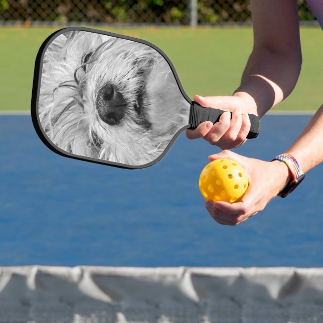 Coton de Tulear dog Pickleball Paddle (Insitu)