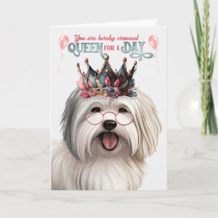 Coton de Tulear Dog Queen for a Day Funny Birthday Card