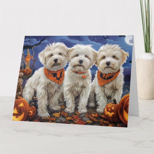 Coton De Tulear Halloween Spooky Card (Front)