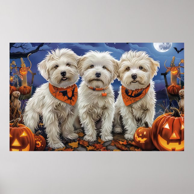Coton De Tulear Halloween Spooky Poster (Front)