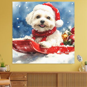 Coton De Tulear in Sledge Let it Snow Christmas Canvas Print