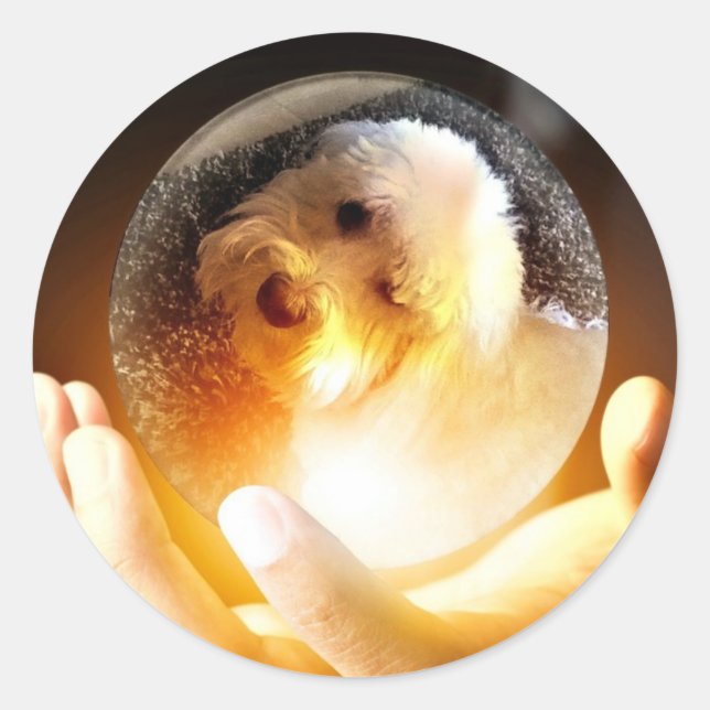 Coton de Tulear Magic Classic Round Sticker (Front)