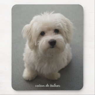 Coton de Tulear Mouse Mat