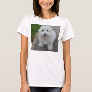 coton de tulear on bench T-Shirt