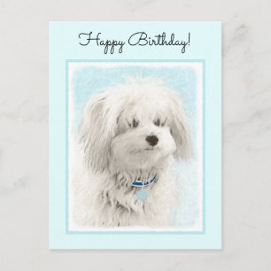 Coton de Tulear Painting - Cute Original Dog Art Postcard