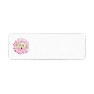 Coton de Tulear Springtime Flower
