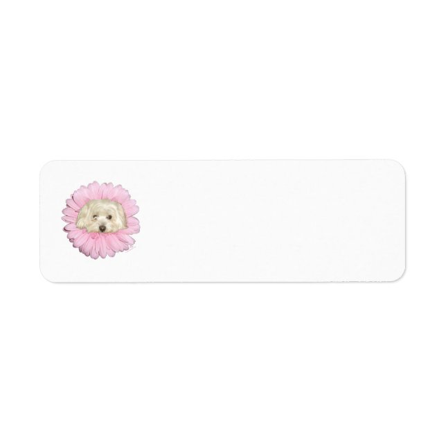 Coton de Tulear Springtime Flower (Front)