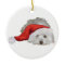 Coton de Tulear - Waiting