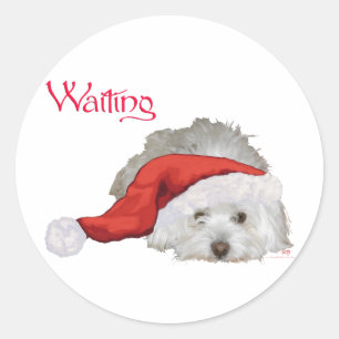 Coton de Tulear - Waiting Classic Round Sticker