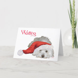 Coton de Tulear - Waiting Holiday Card