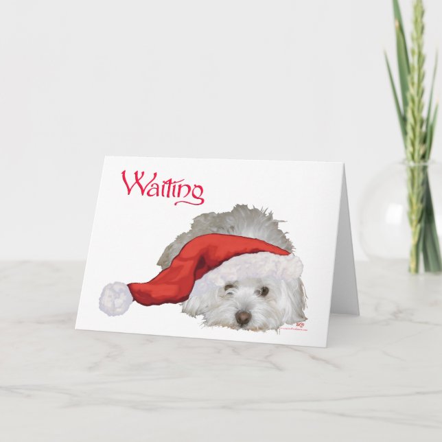 Coton de Tulear - Waiting Holiday Card (Front)