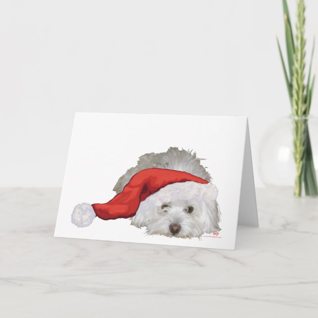 Coton de Tulear - Waiting Holiday Card (Front)