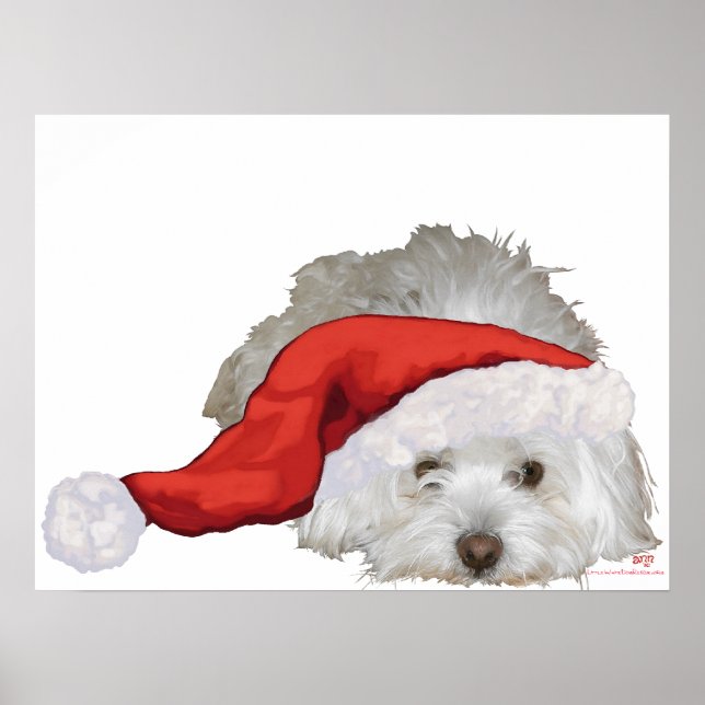 Coton de Tulear - Waiting Poster (Front)