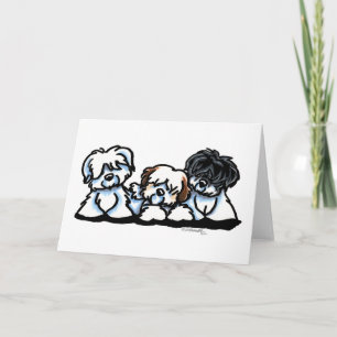 Coton Of Tulear Trio Card