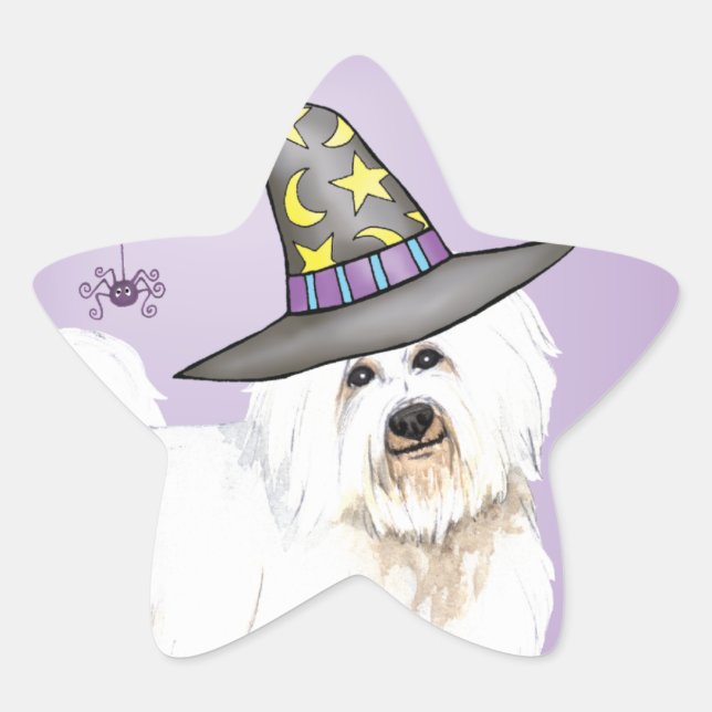 Coton Witch Star Sticker (Front)