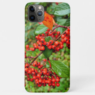 Cotoneaster lacteus  iPhone 11 pro max case