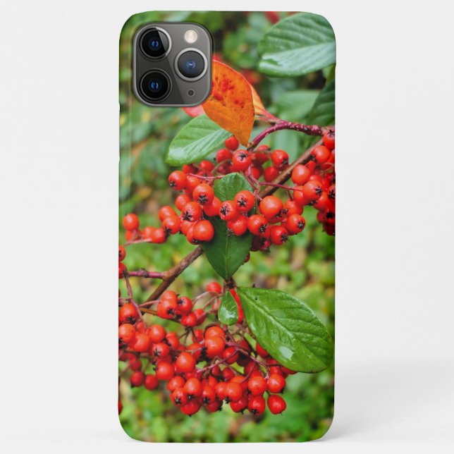 Cotoneaster lacteus  Case-Mate iPhone case (Back)