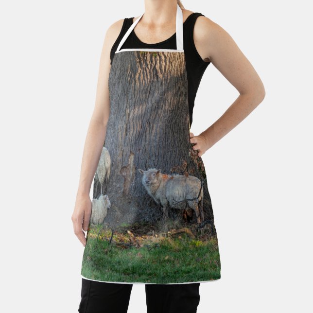 Cotswold Sheep Apron (Insitu)