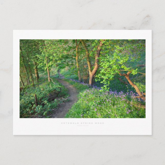 Cotswold Spring Wood Postcard (Front)