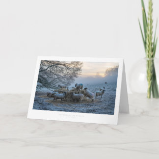 Cotswolds in Winter Card