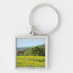 Cotswolds, UK Key Ring