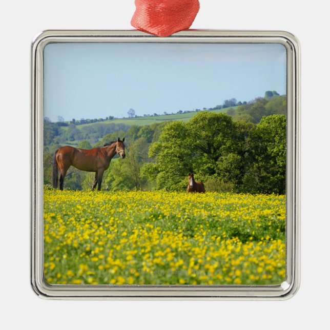 Cotswolds, UK Metal Tree Decoration (Front)