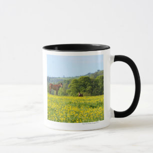 Cotswolds, UK Mug