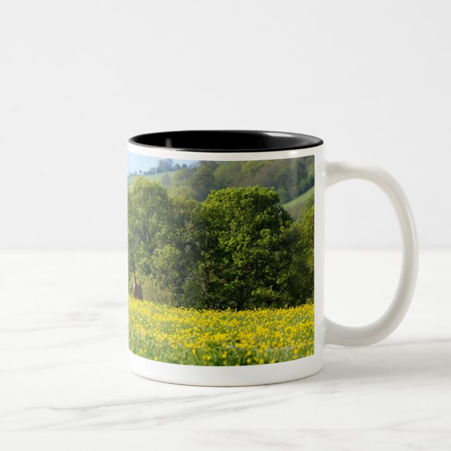 Cotswolds, UK Two-Tone Coffee Mug (Right)