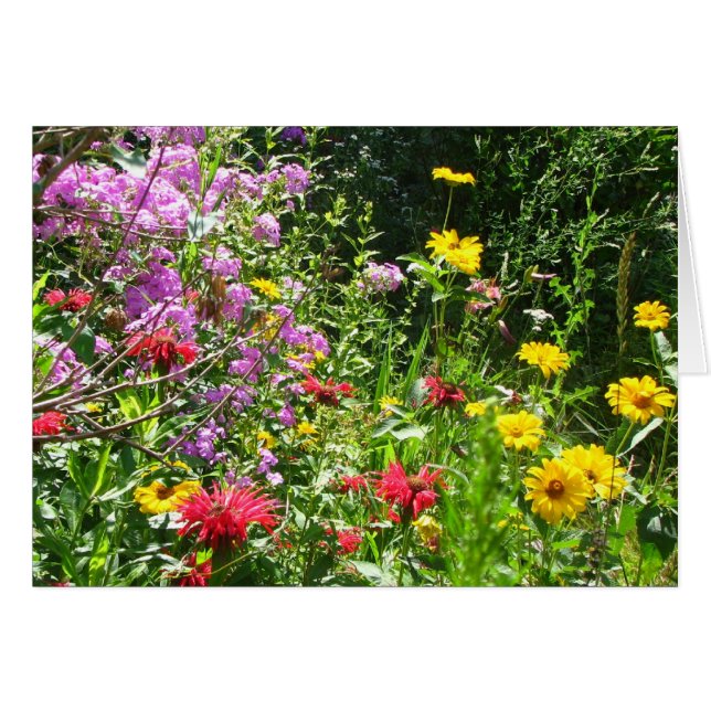 Cottage Garden Background (Front Horizontal)