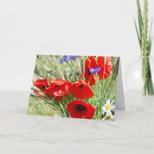 Cottage garden, Rosalinde Card