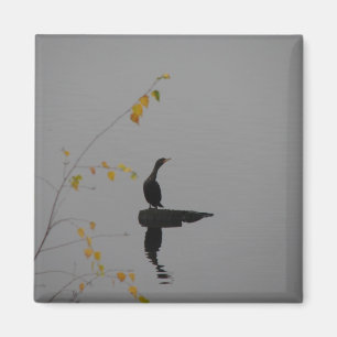 Cottage Lake Cormorant Bird magnet