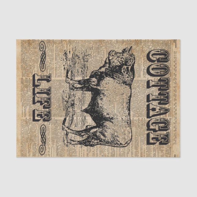 Cottage Life Vintage Countryside Dictionary Art Tissue Paper (Front)